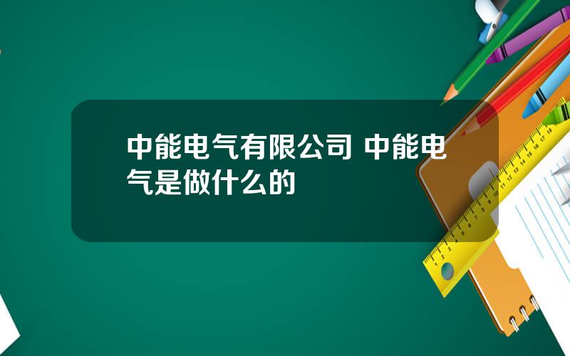 中能电气有限公司 中能电气是做什么的